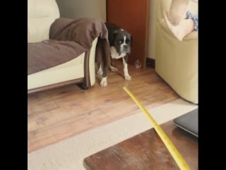 Jameskn0x hatin on the tape measure