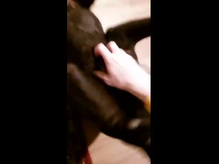 Spoontamer 20200426 1 mp4