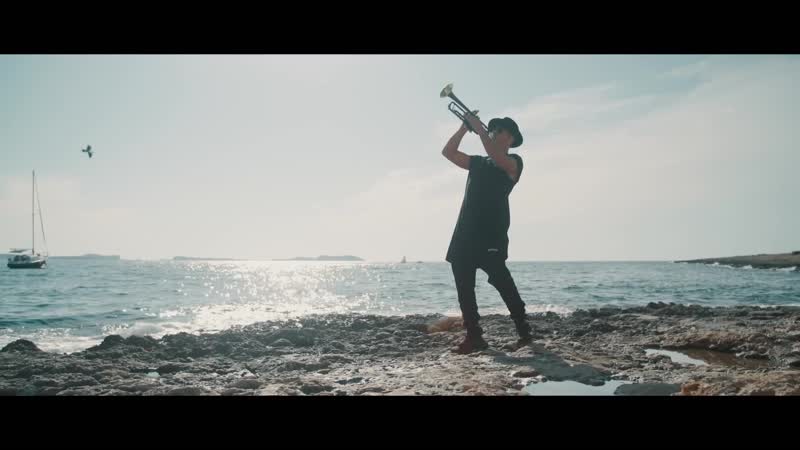 Steve aoki x timmy trumpet feat dr phunk hava (official music video)