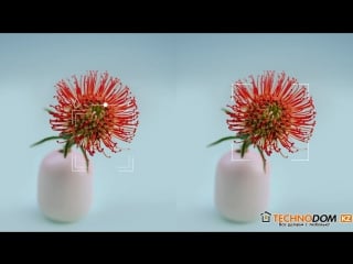 Huawei mate 10 ai object and scene recognition