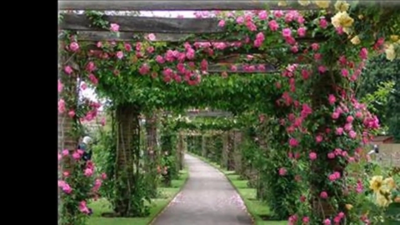 Вертикальные грядки