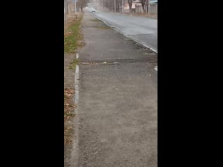 Vid 20191122 150131 mp4