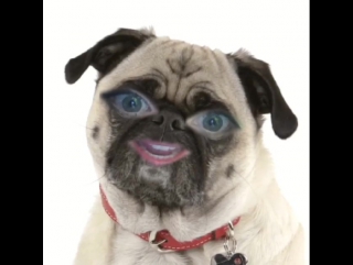 Follow me on snapchat itscandiceking as i use my time wisely to document our final #tvd promo shoot! 👻 view all 416 co