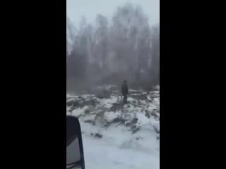 Полицейские столбики d