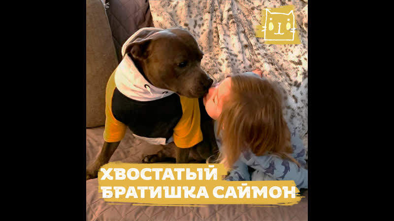 Заботливый стафф нянчит двух маленьких девочек