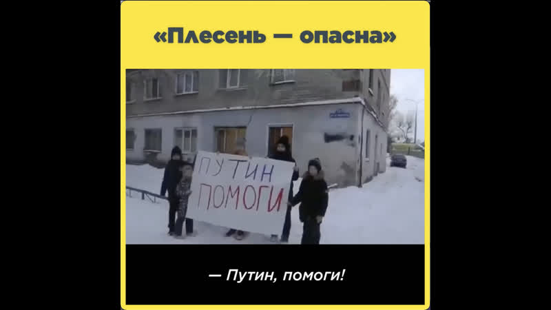 «плесень опасна»