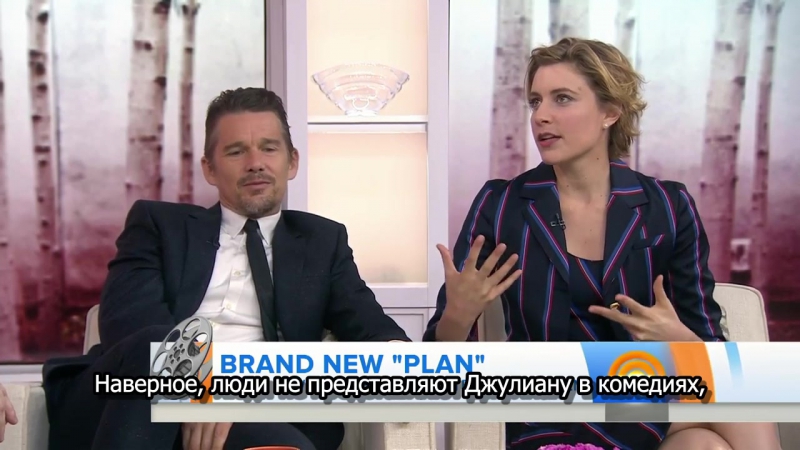 Maggies plan, ethan hawke and greta gerwig