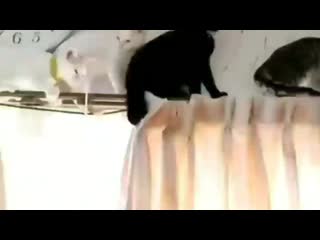 Namjoon by porn ⁺¹⁸