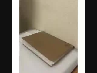 Книжная история (vhs video)