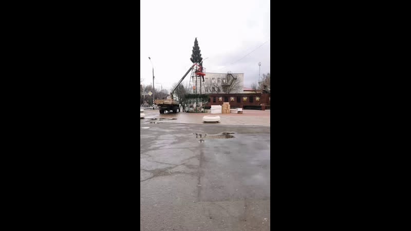 Устаноа ёлки в малоярославце