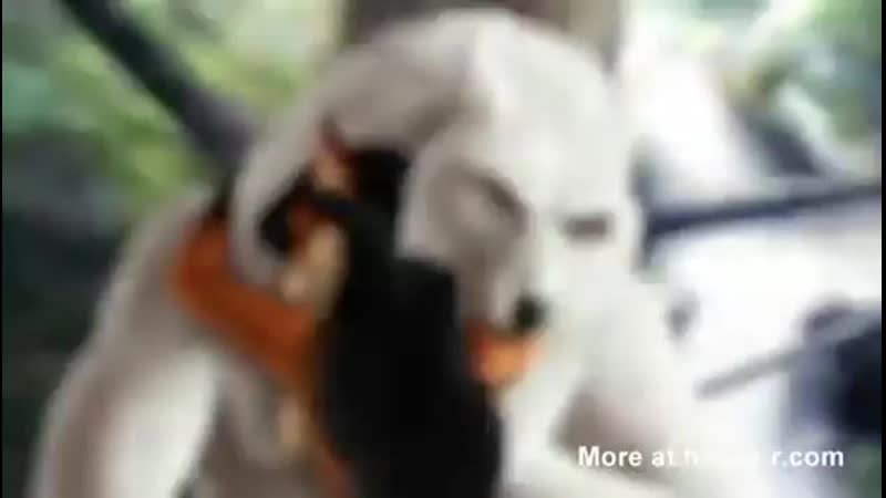 Porn sex fox girl and brutal wolf