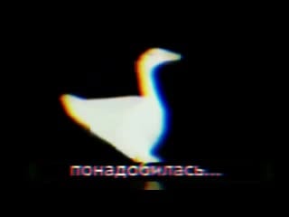 Chervivi хорошо покакал (я хорошо покакал, хорошо сходил, нормально навалил, потом запис mp4