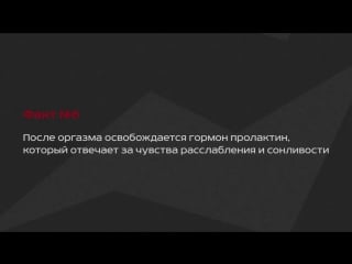 Секс (соитие половой контакт) 10 фактов