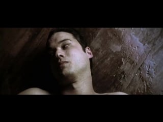 Alexander milo and philippe jacq withered flowers blooming part2