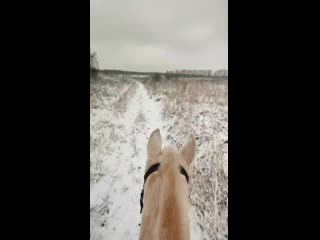 Vid 20201201 120655(0) mp4