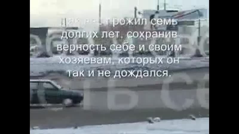 Русский хатико