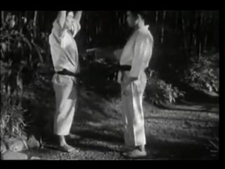 #aikido #volgograd #volgogradaikido #aikidovolgograd #video