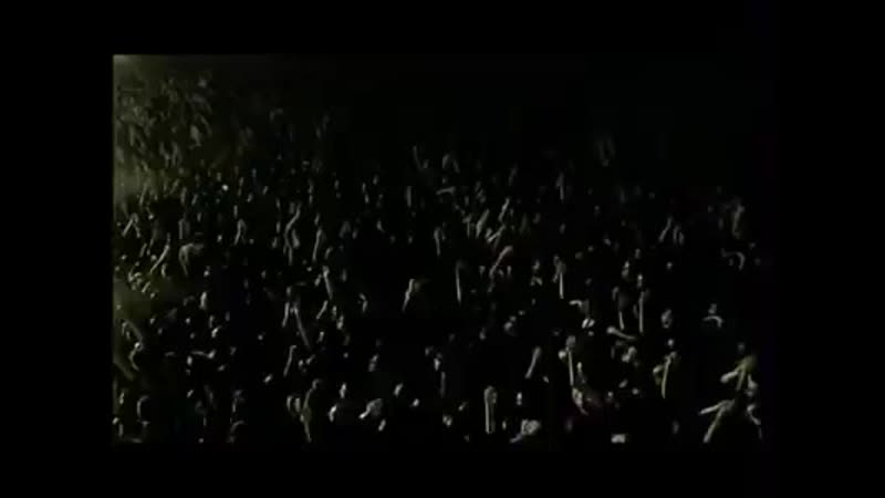 Sin documentos andres calamaro mp4