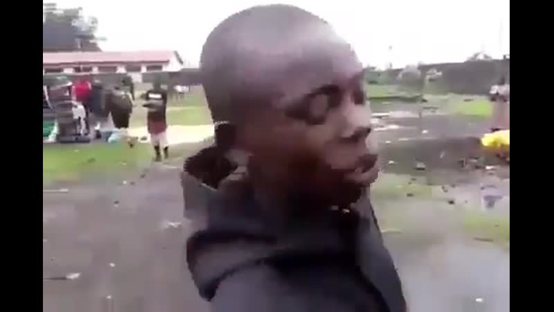 Тем временем в степях донетчины