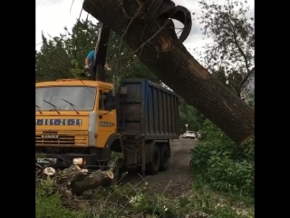 Спиливание, удаление деревьев, кустарника, расчистка участков, покос травы и вывоз любой сложности! 👍 ☎ 8 920 211 76 22