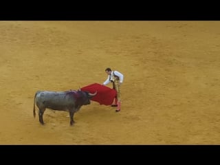 España, zaragoza 2015, pilares, corrida