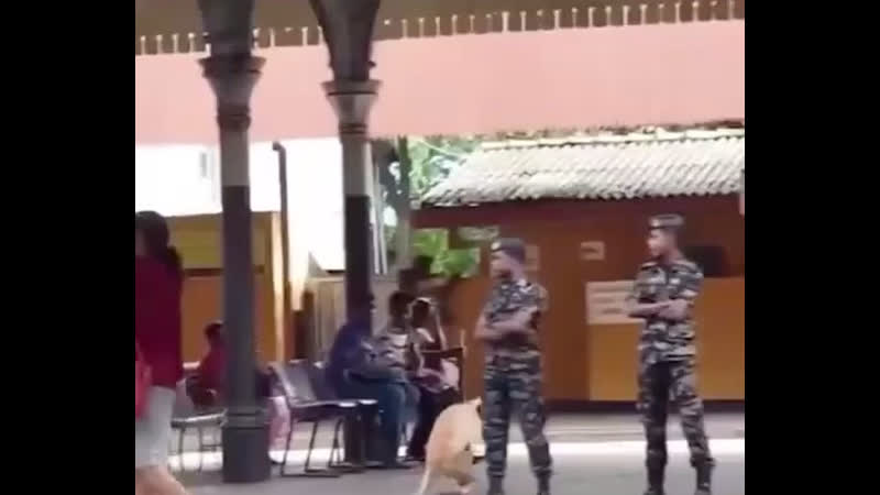 Сэр, разрешите подурачиться?