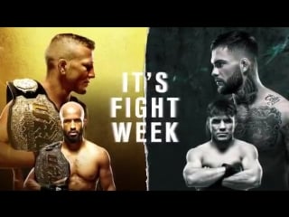 I t s f i g h t w e e k ️ @tjdillashaw @cody nolove 2 @mightymouseufc @henrycejudo