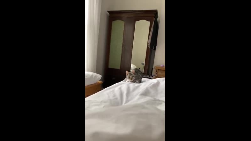 Ruby thinks shеs a snоw lеоpard