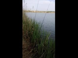 Video by vladimir alferov