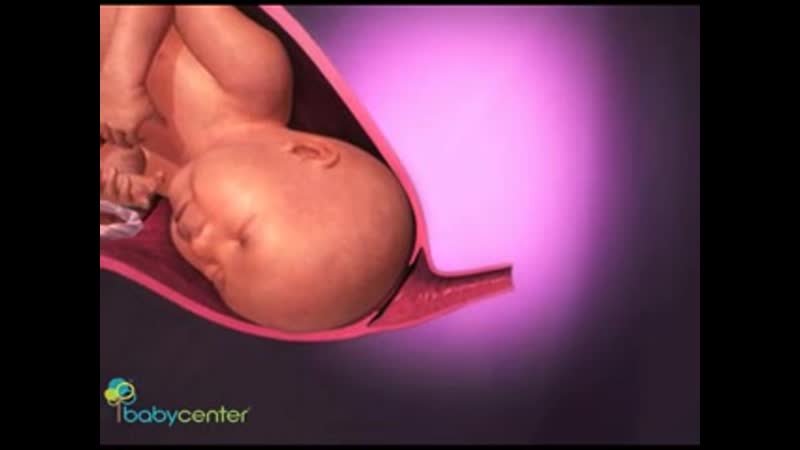 Взгляд на беременность изнутри роды и рождение малыша