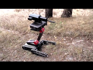 Lobaev tactical robot minirex rs1a3