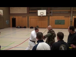 Kung fu vs systema spetsnaz (вадим старов семинар в германии)