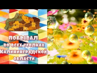 Фестиваль лето с книгой в гостях у центрального парка