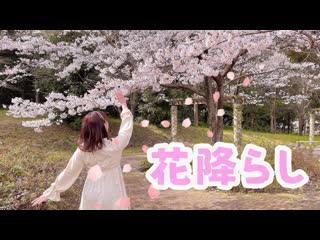 【桜の下で】花降らし 踊ってみた【オリジナル振付】 niconico video sm40290178