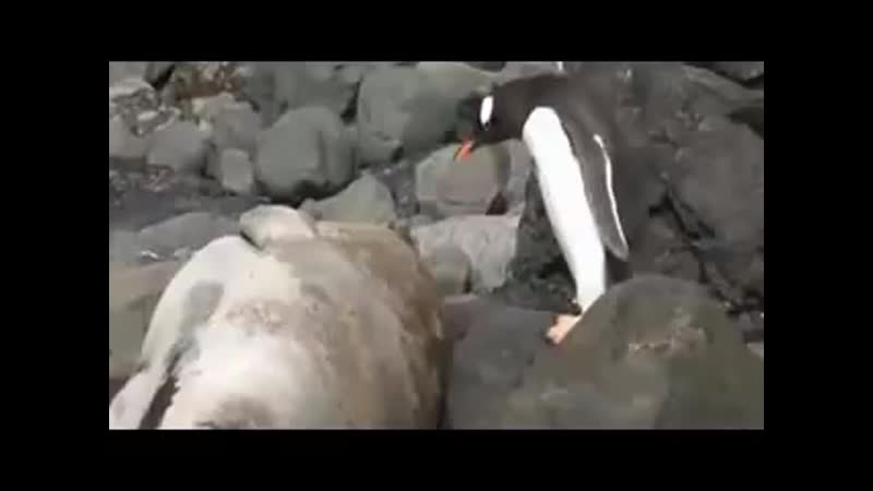 Легче перепрыгнуть чем обойти