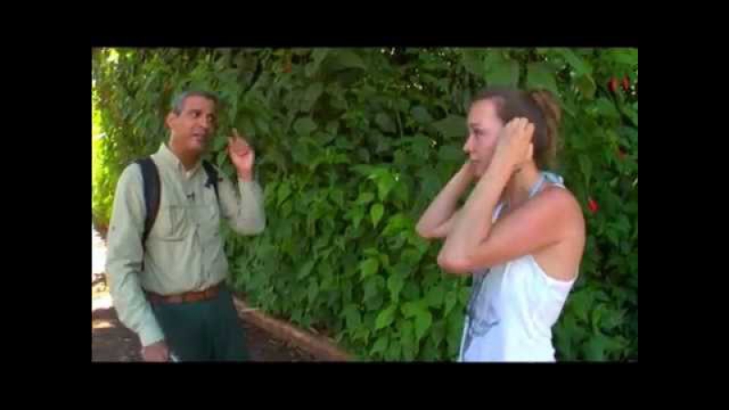 Планета без предрассудков 6 выпуск игуасу аргентина, бразилия / 2011