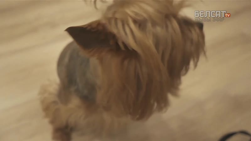 Выйшаў на 5 хвілінаў, вярнуўся праз 12 содняў | вышел на 5 минут, вернулся через 12 суток