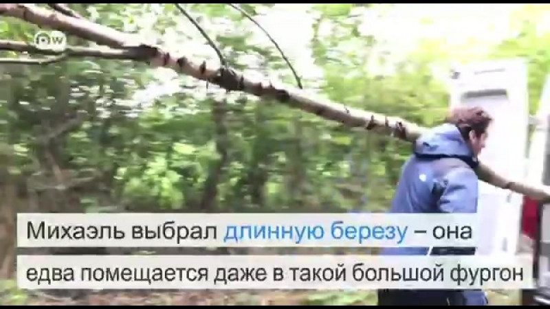 Ночь, в которую немцы признаются в любви