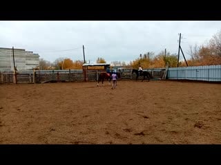 Оля галантный 1 видео