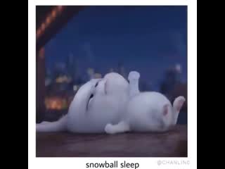 ᅠᅠ🐰 lee know 작은 bunny ♡︎