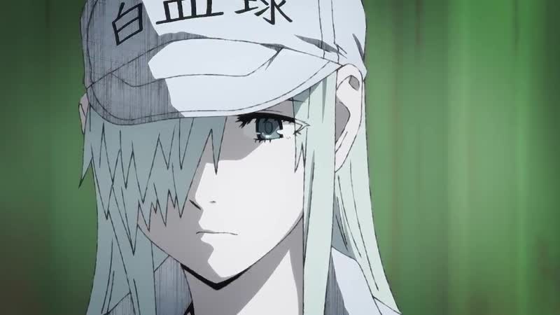 Hataraku saibou black