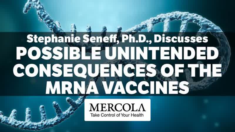 Possible unintended consequences of the mrna vaccines interview with stephanie seneff, ph d, ( may 19, 2021 )