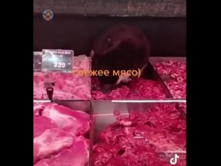 Свежее и натуральное мясцо