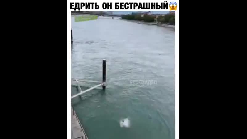 Фигасе porn video – Фигасе 😱😃