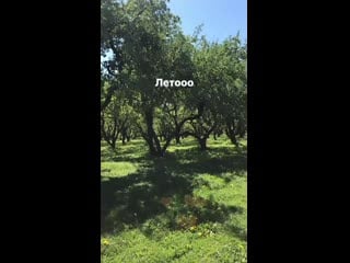 Storysaver diedari xx 33623699 140943973631144 2752463902262091401 n mp4