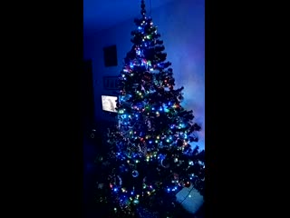 Vid 20201212 230017 mp4