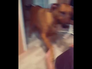 Snezhana prudko 20200418 2 mp4