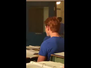 Инстасторис камилы