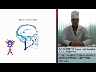 Топографическая анатомия и оперативная хирургия головы