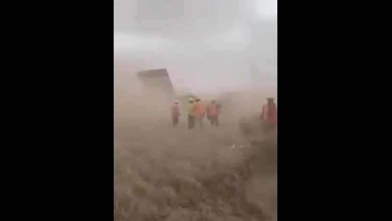 Стену трампа сдуло ветром яйценюх одобряэ